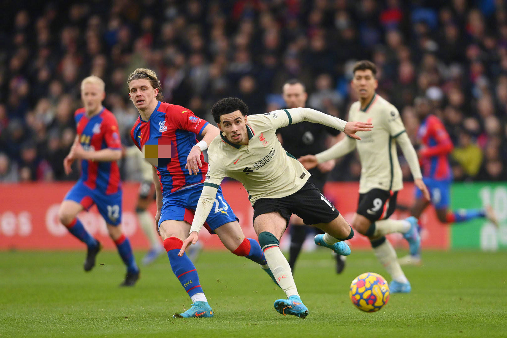 己的位置和 己的位置和